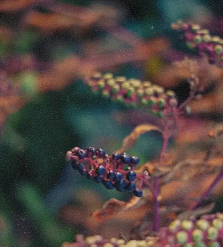 Email marketing that works